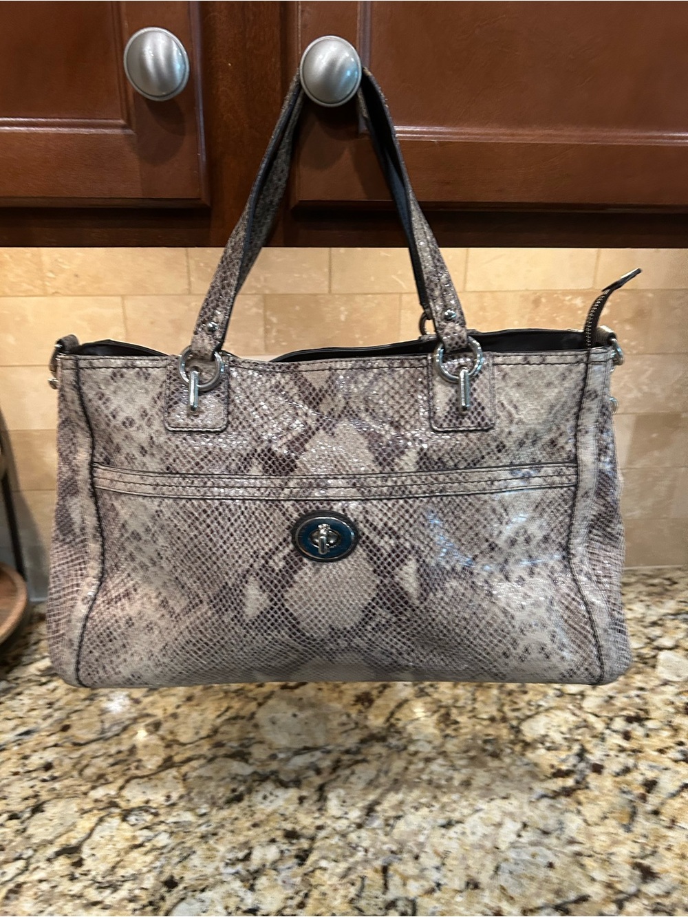 Coach Park Python Embossed Leather Carryall Tote Bag Silver Turnlock F24384